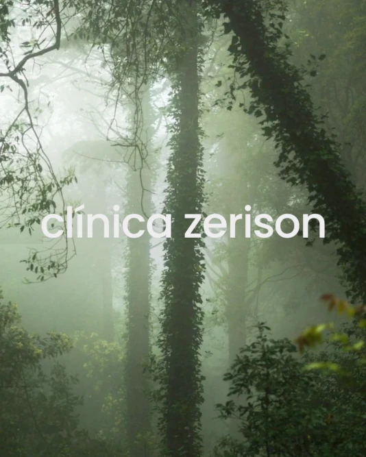 Clínica Zerison - Consultora de marca Parsons